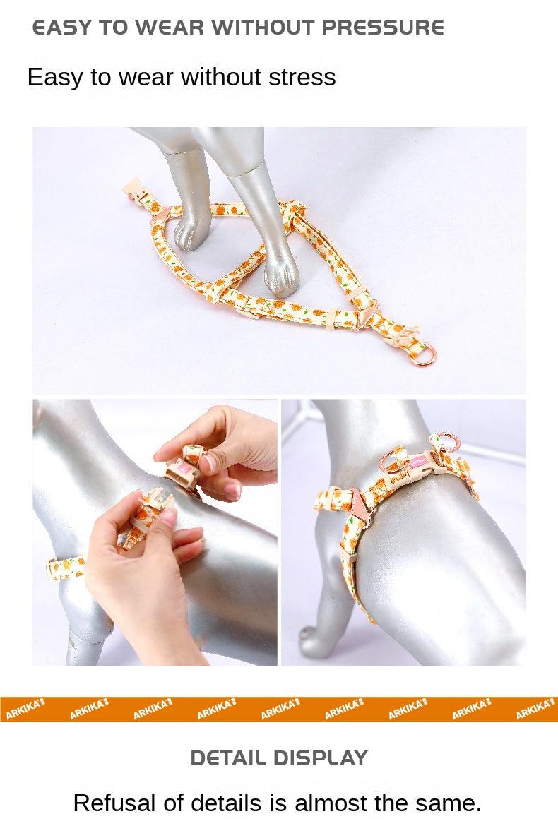 ARKIKA® Fruit-Colored Dog Harness Leash Kit - KIKOPALS