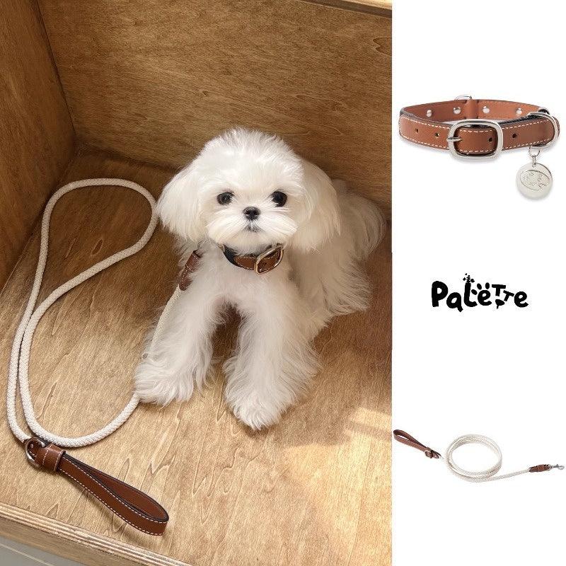 PalettePet® Color-Blocked Stud Leather Dog Collar & Leash Set - KIKOPALS