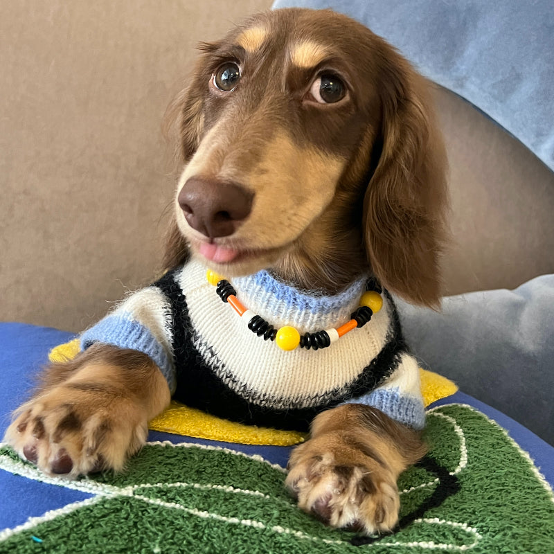 Nuoz® N Series Color-Block Beaded Pet Necklace