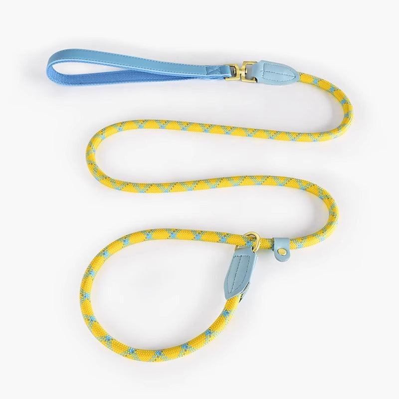 Minly® P-Chain Dog Training Leash - KIKOPALS