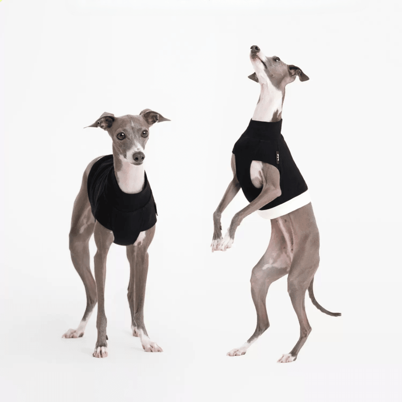 Ula Hound® Dog Yoga Vest - KIKOPALS