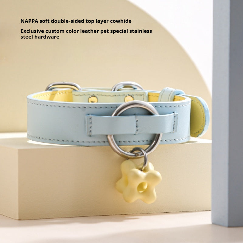 Dottylab® Leather Flower Pet Collar