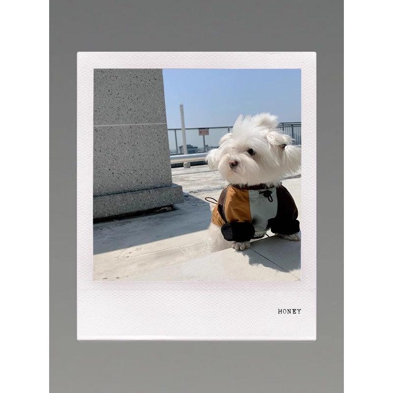 GASU® Waterproof Detachable Whippet Raincoat - KIKOPALS