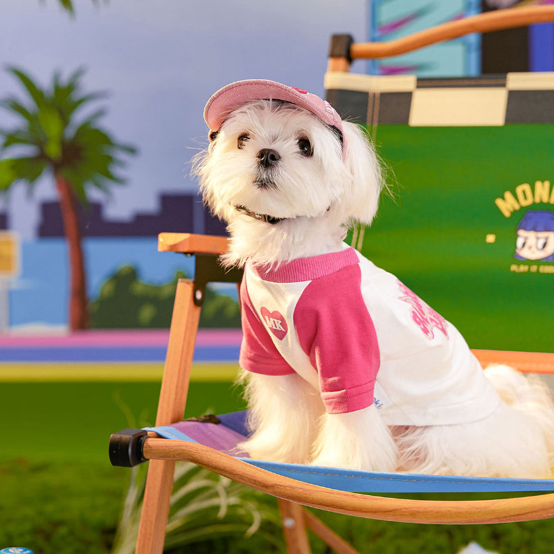 MookiPet® Candy Color Baseball Cap for Dogs & Cats