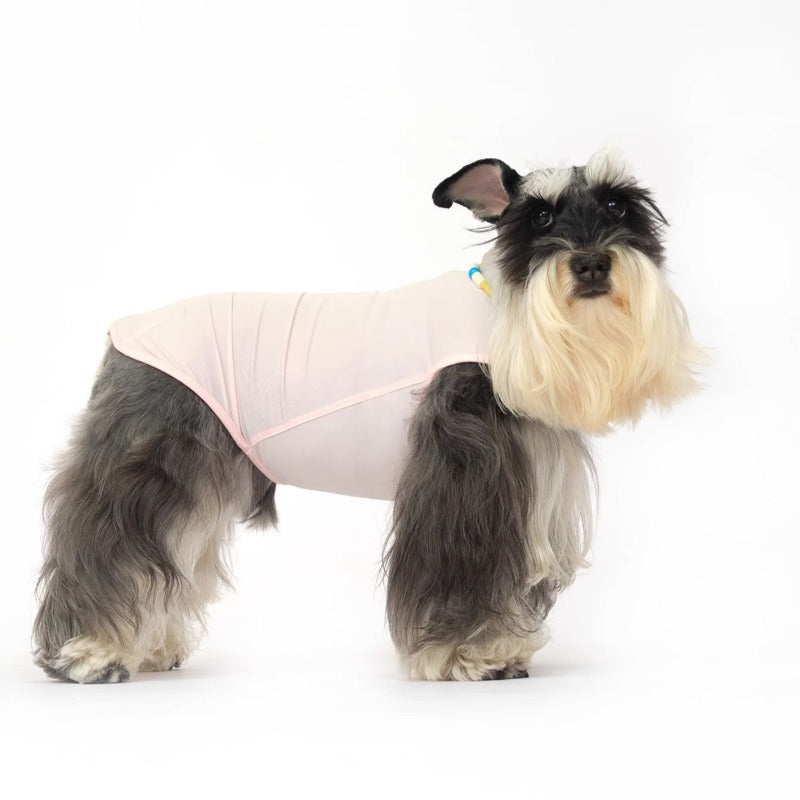 Nuoz® U Series Dog Cooling Vest – High Elasticity