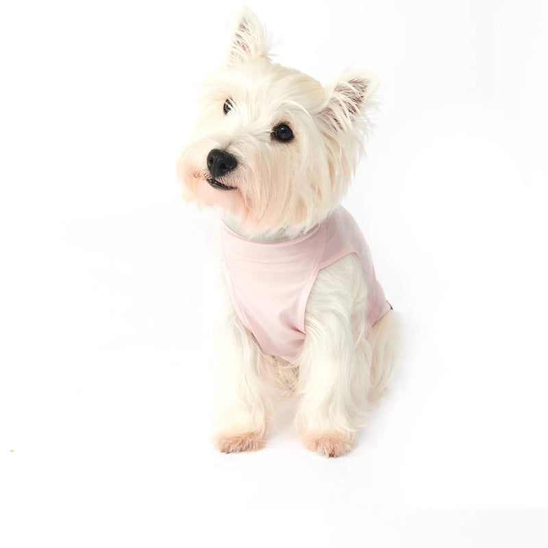 Nuoz® U Series Dog Cooling Vest – High Elasticity