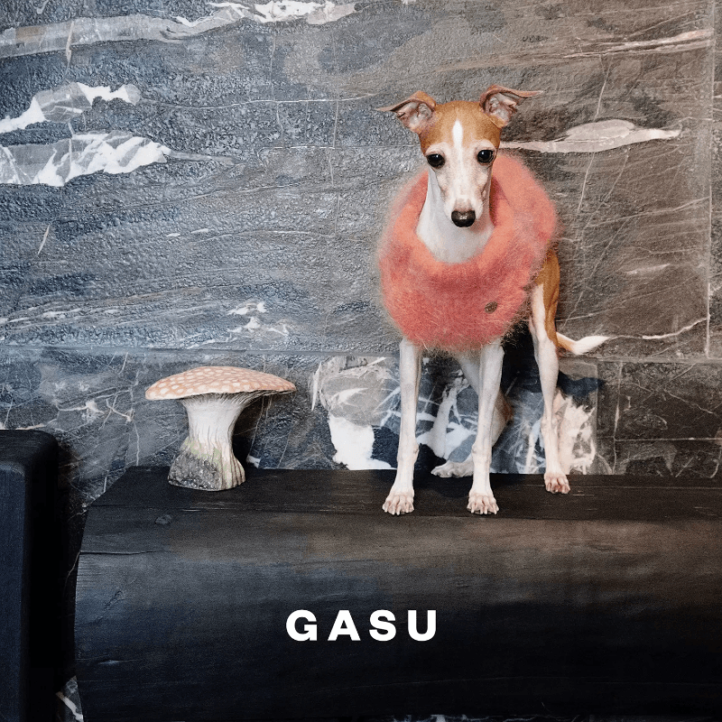 GASU® Pink Alpaca Dog Sweater Vest - KIKOPALS