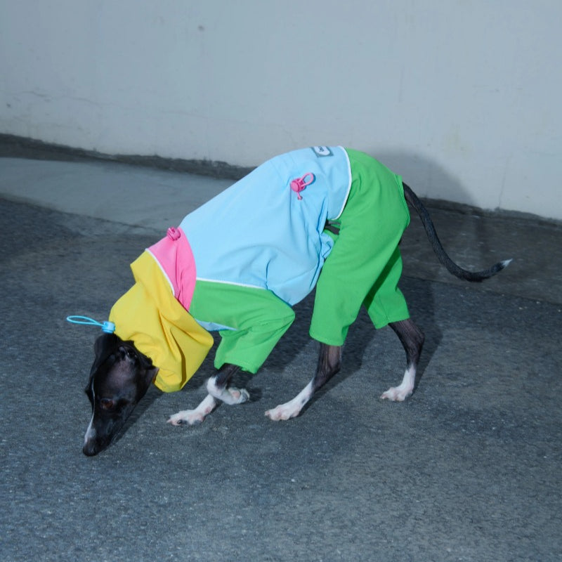 iiNeed® Waterproof Jacket Color-Block for Dogs