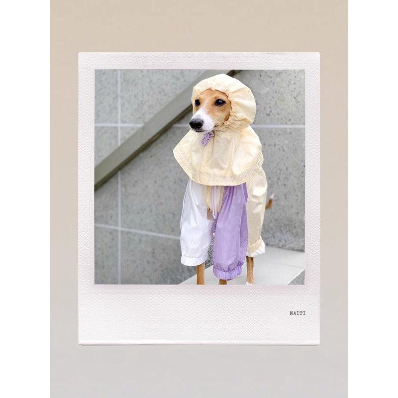 GASU® Cloudy Purple Color-Blocked Raincoat - KIKOPALS