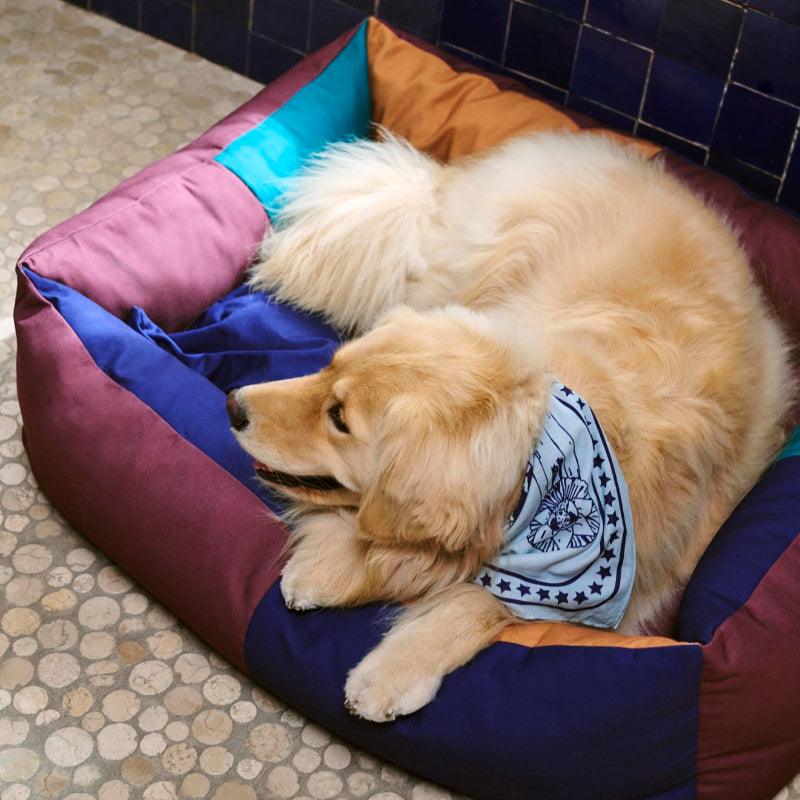 HAY® Colorful Pet Scarf - KIKOPALS