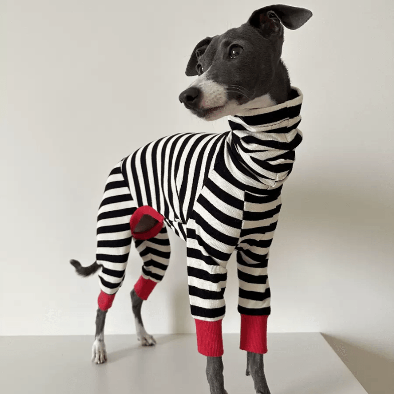 A HUNTING DOG® Striped Dog Jumpsuit - KIKOPALS