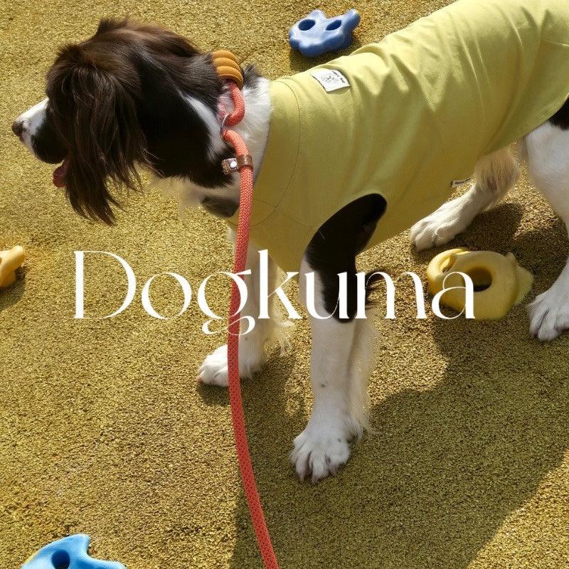 Dogkuma® Dopamine-Color Dog Chain Leash - KIKOPALS