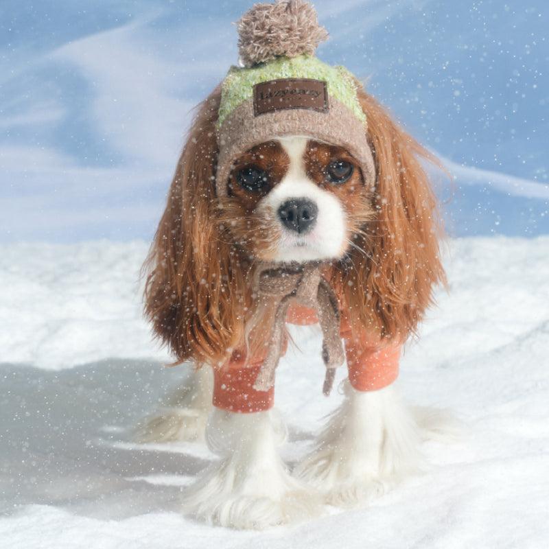 LazyEazy® Knitted Dog Hat - KIKOPALS