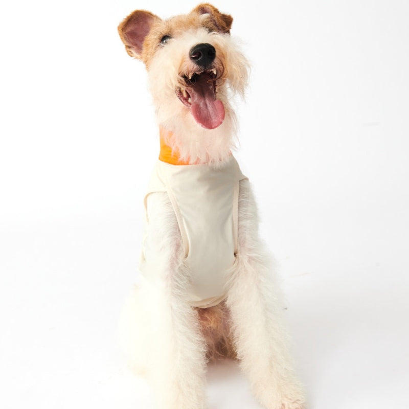 Nuoz® Pet Cooling Base Layer with Color Block Design for Dogs