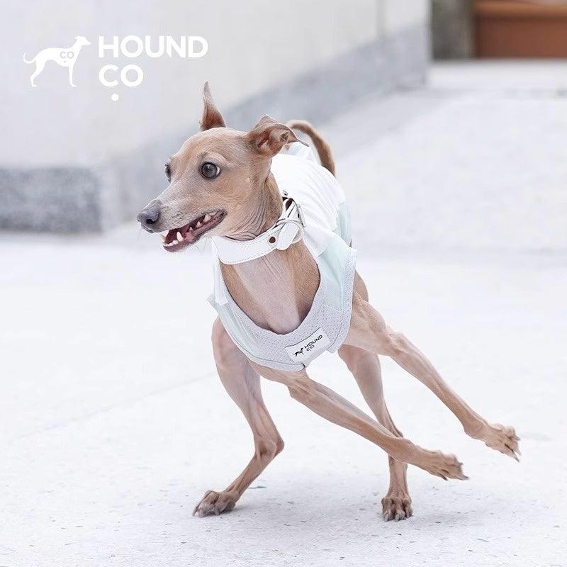 Hound Co.® Breathable Mesh Cooling Vest for Pets - KIKOPALS