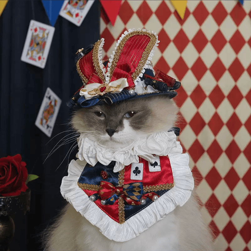 BITEONE® Pet Lolita Bib - KIKOPALS