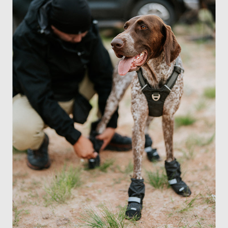 BlackDoggy® SCAPPO Outdoor Dog Boots – Durable & Waterproof