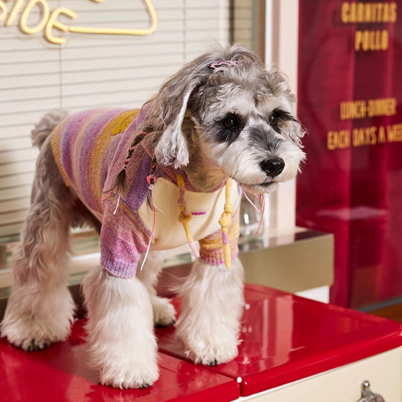 MookiPet® Striped Gradient Hoodie for Dogs – Yellow Purple