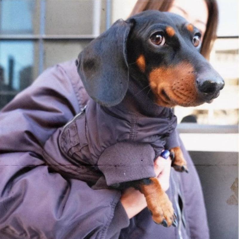 BBPRODUCTION® Pilot Dog Jacket - KIKOPALS