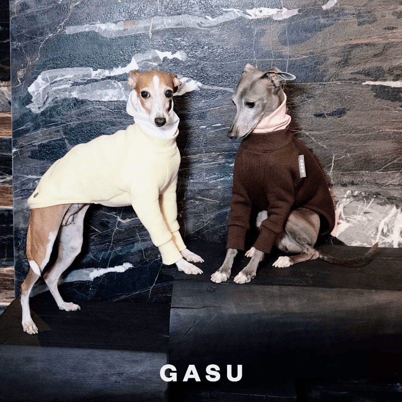 GASU® Thick Fleece Dog Cowl Neck Two-Legged Shirt - KIKOPALS