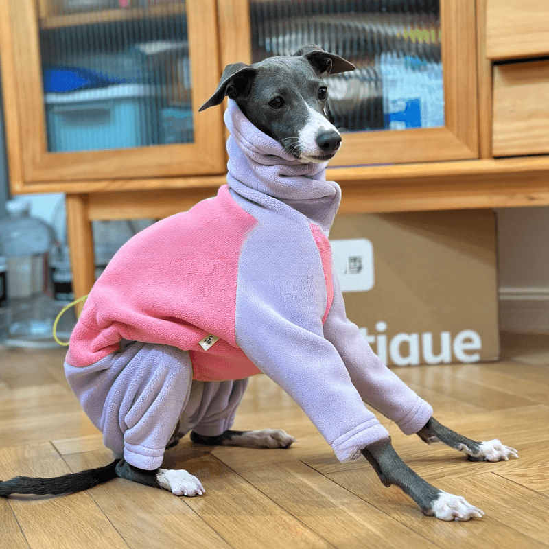 A HUNTING DOG® Dog Thickened Double-sided Fleece Hoodie - KIKOPALS