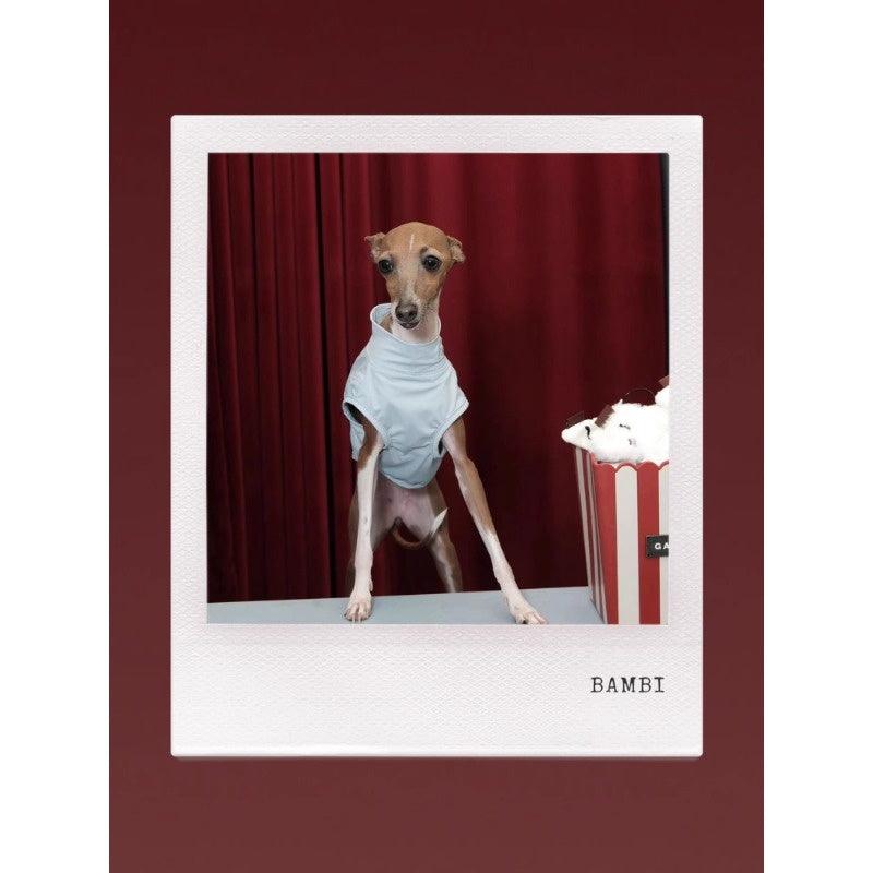 GASU® UPF50+ Cooling Dog Sun Vest - KIKOPALS