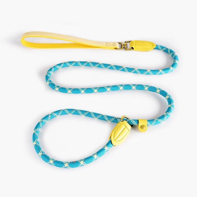 Minly® P-Chain Dog Training Leash - KIKOPALS