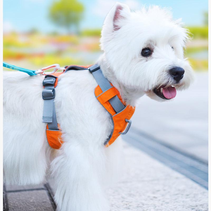 TOUCHDOG® Airsoft Harness & Leash Set - KIKOPALS