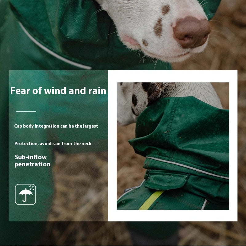 BlackDoggy® Waterproof Dog Raincoat