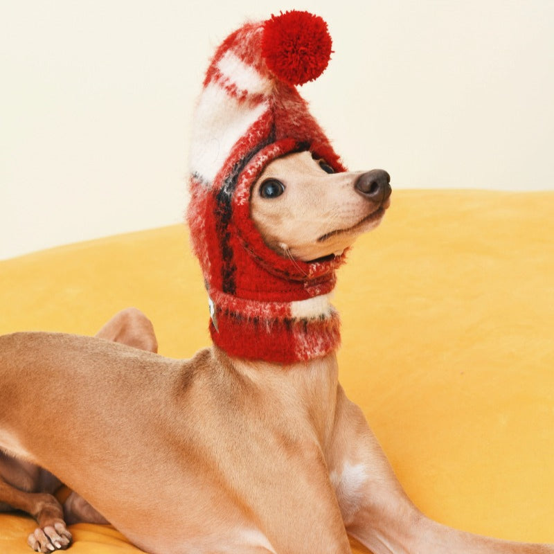 iiNeed® Adorable Red Plaid Hat With Pom-Pom for Dogs