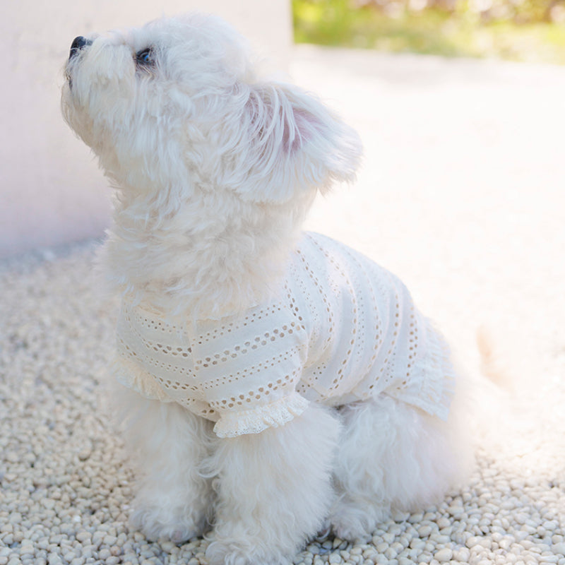 MARSHMALLOW® Breathable Lace T-Shirt for Dogs – Summer Cool Wear