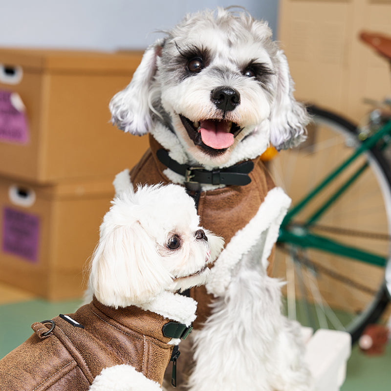MookiPet® Suede Motorcycle Jacket for Dogs