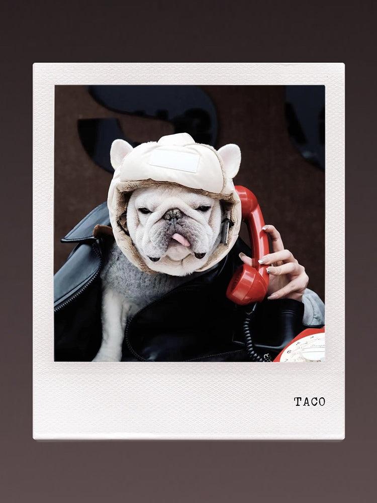 GASU® Versatile Puffer Pet Pilot Hat - KIKOPALS