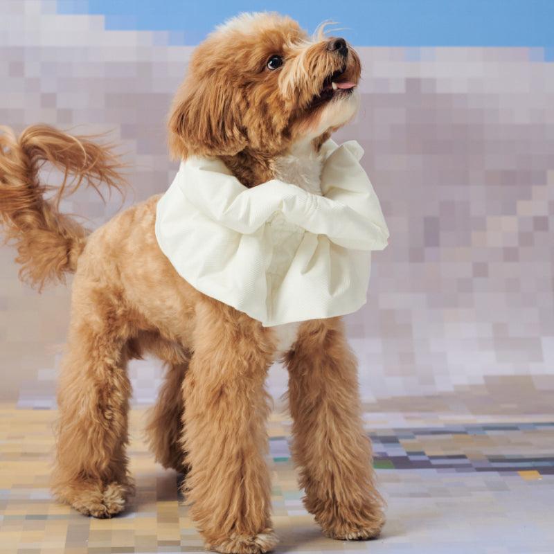 LazyEazy® Soft Pet Elizabeth Collar - KIKOPALS