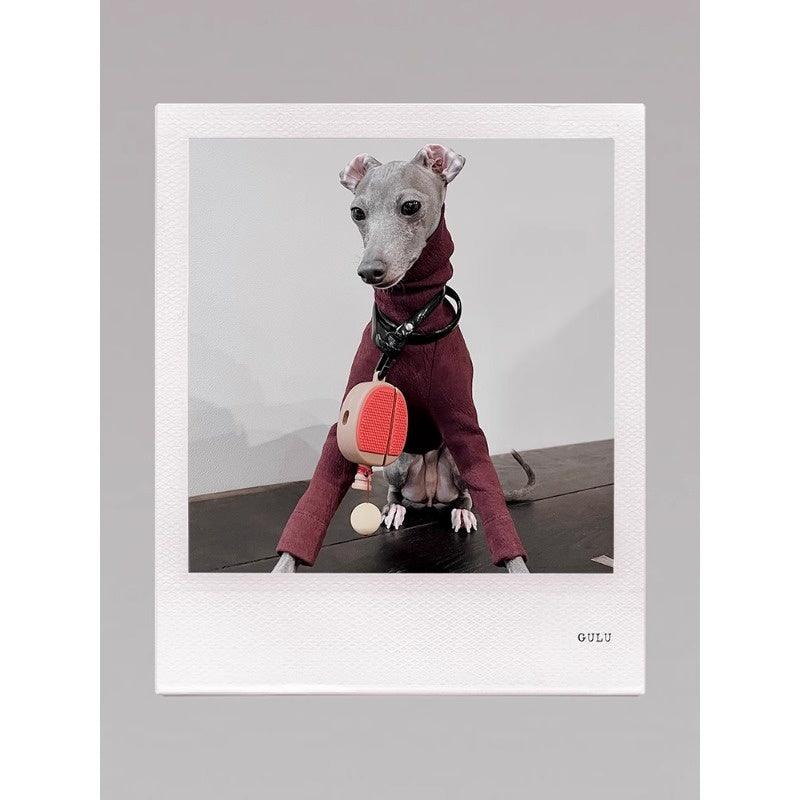 GASU® Textured Linen-Feel Slim Fit Pet Shirt - KIKOPALS