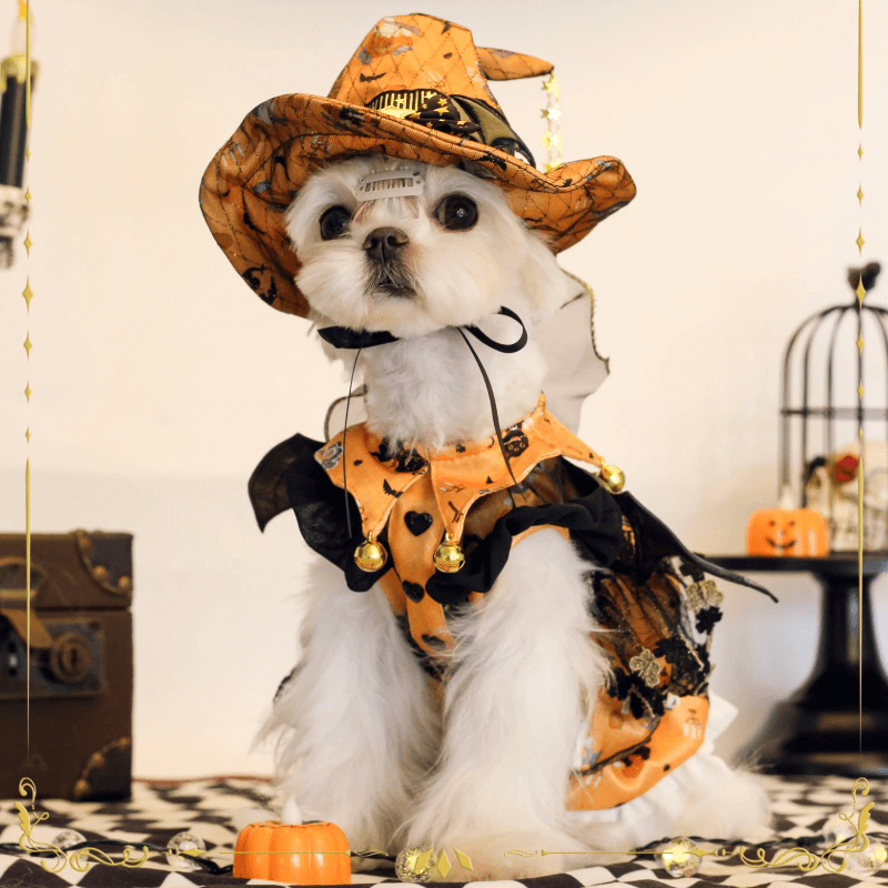 BITEONE® Pumpkin Princess Pet Dress/Witch Hat for Halloween - KIKOPALS