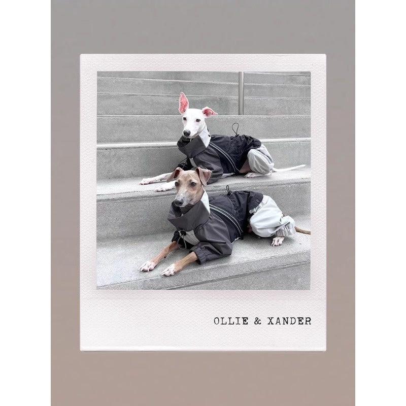 GASU® Waterproof Dog Raincoat Jacket - KIKOPALS