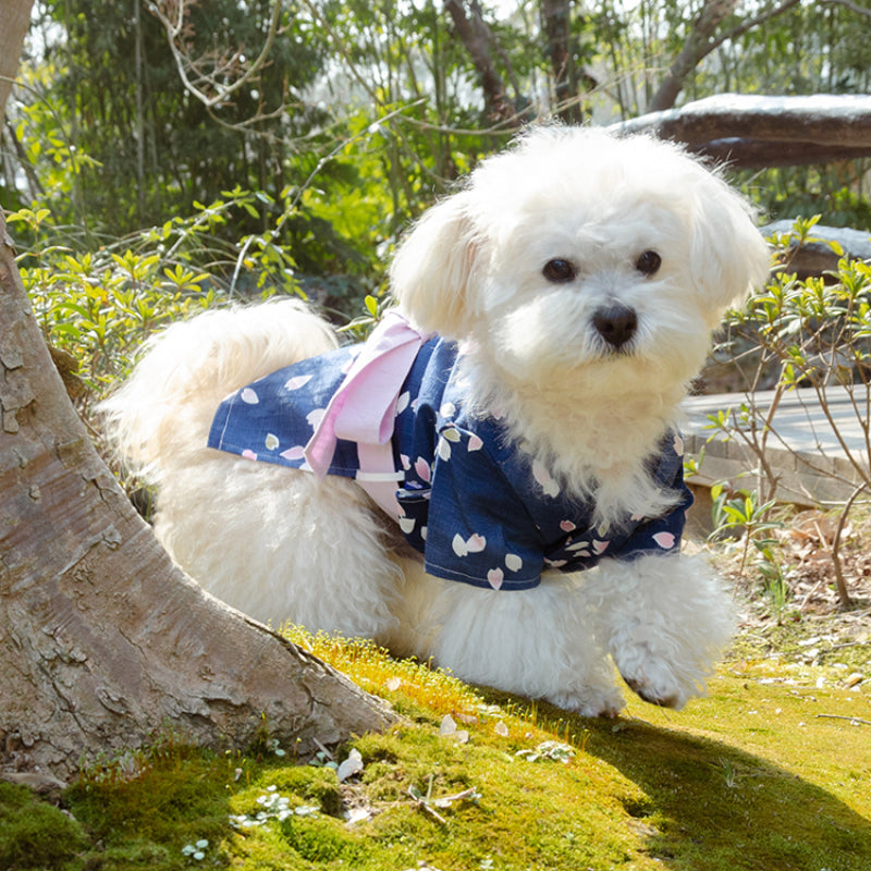 MARSHMALLOW® Japanese Kimono for Dogs