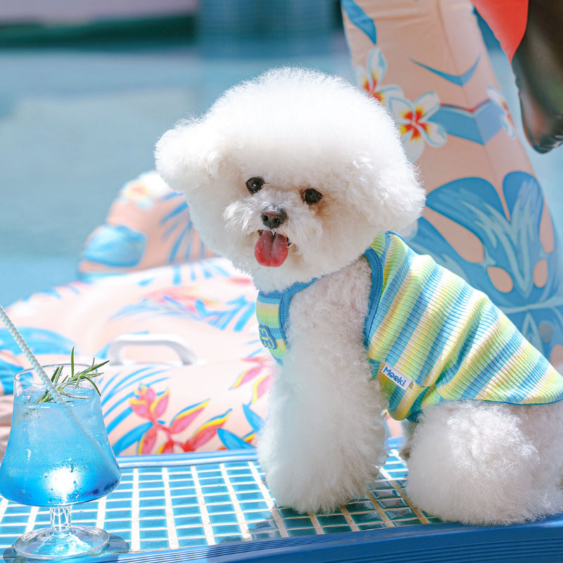 MookiPet® Cloud Striped Sling for Dogs – Blue & Yellow