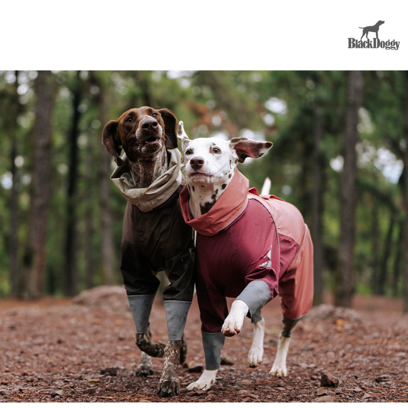 BlackDoggy® Waterproof Dog Raincoat