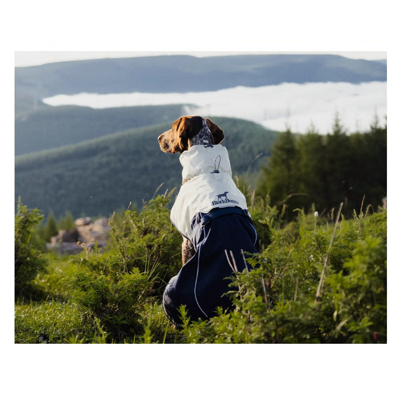 BlackDoggy® Hardshell Jacket for Dogs – Windproof & Water-Resistant
