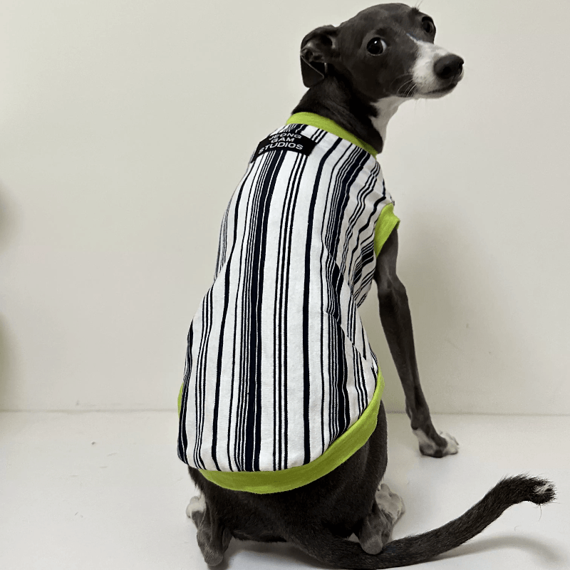 A HUNTING DOG® Dog Striped Vest - KIKOPALS