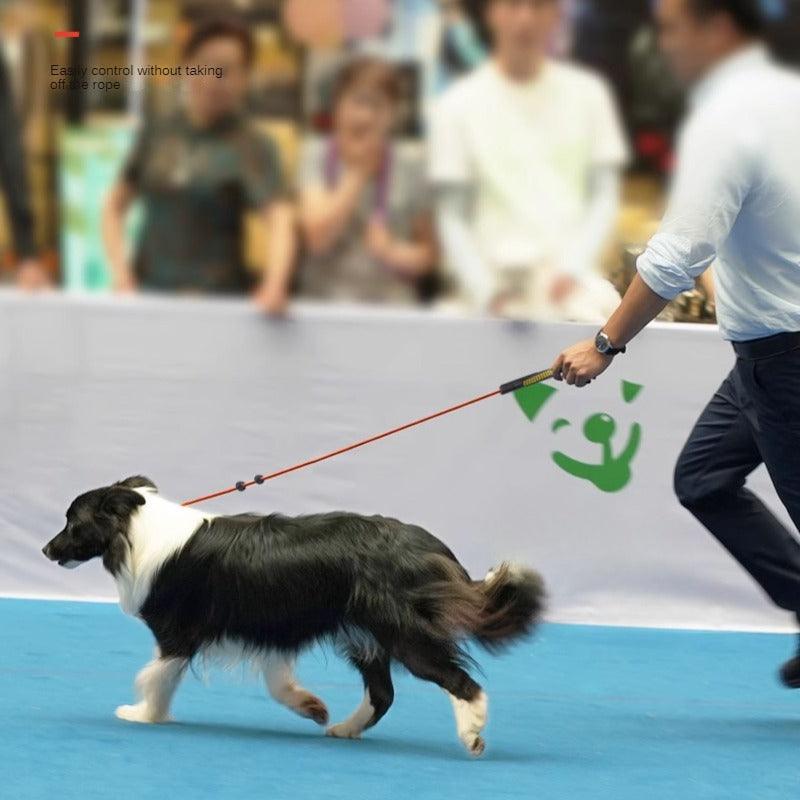 BeauGo® Training Dog Leash - KIKOPALS