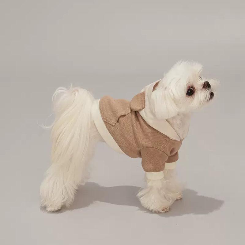Dottylab® Teddy Ear Pet Hoodie - KIKOPALS