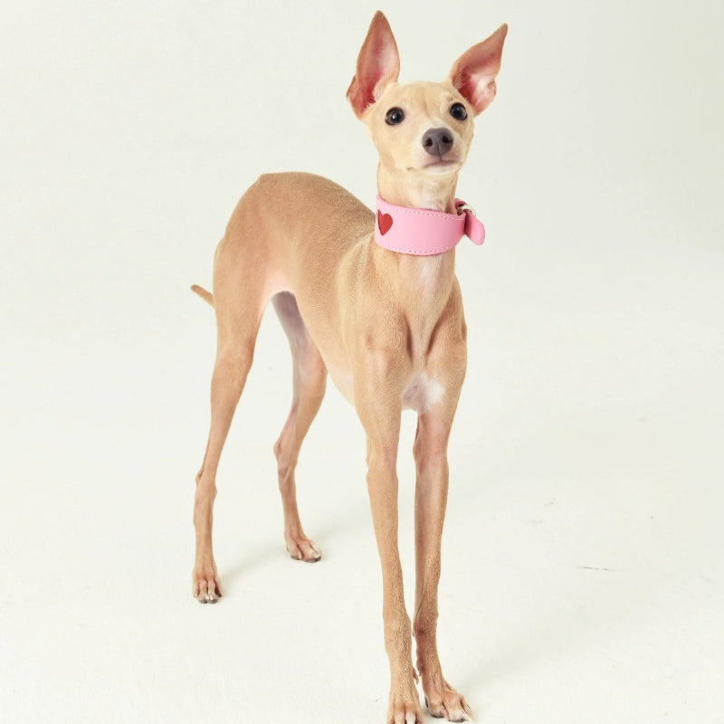 iiNeed® Leather Heart Collar for Whippets Dog