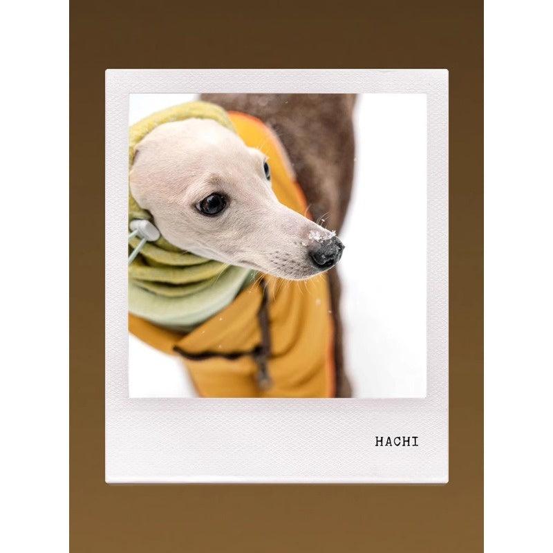 GASU® Woolen Pet Snood - KIKOPALS
