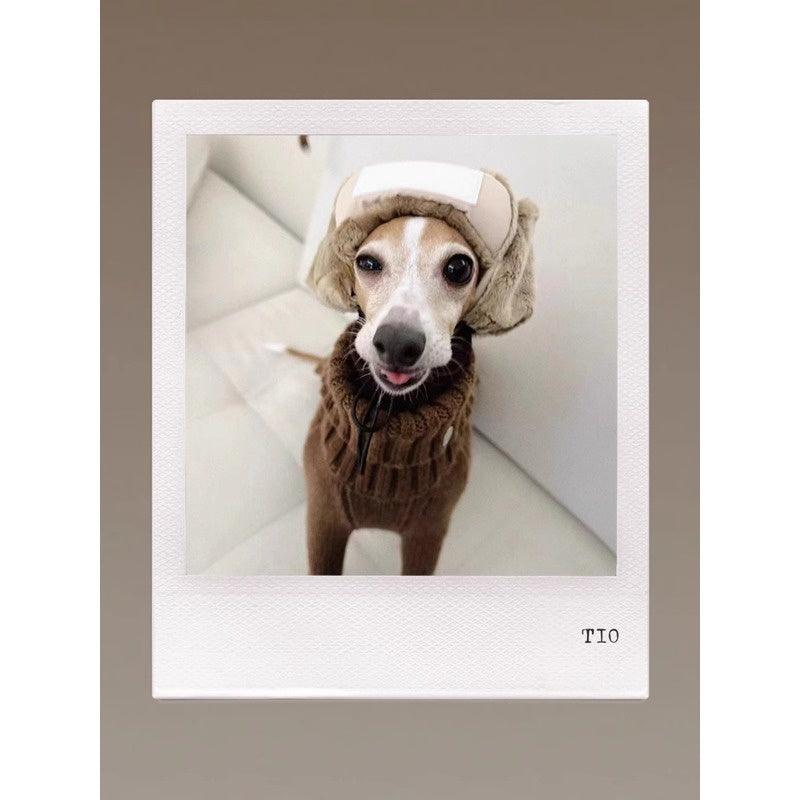 GASU® Chunky Wool Dog Two-Legged Sweater - KIKOPALS