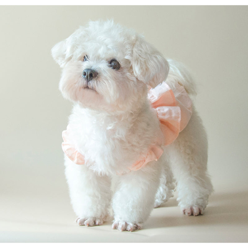 MARSHMALLOW® Floral Bubble Dress for Dogs