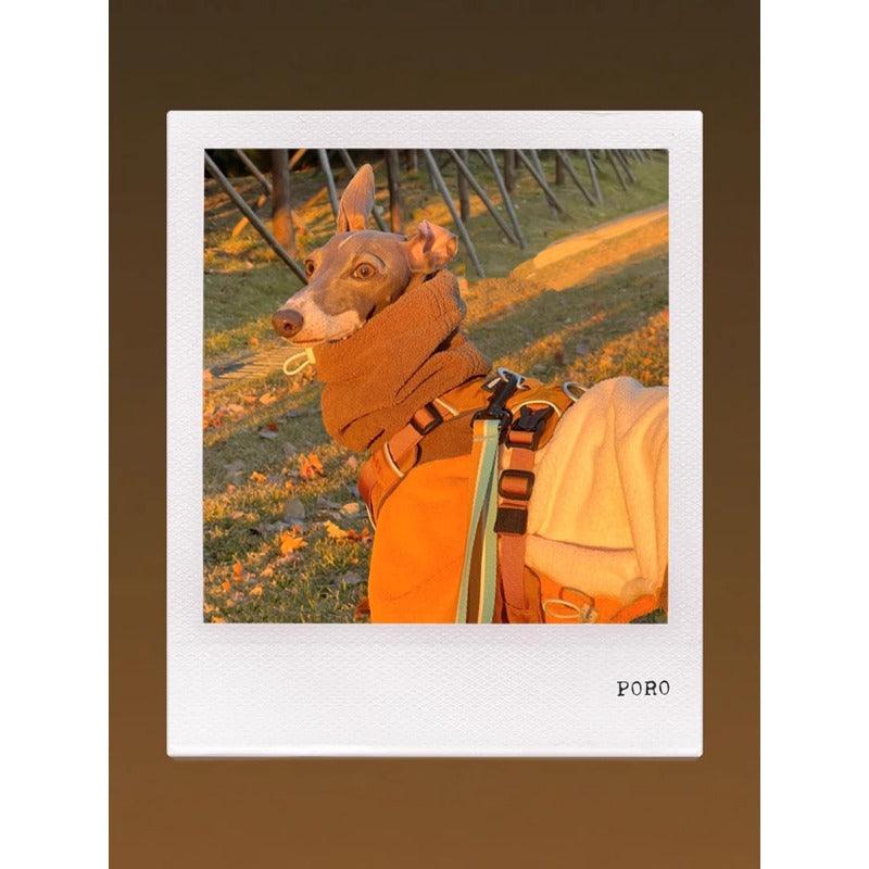 GASU® Anti-Static Sponge Cake Pet Outfit - KIKOPALS