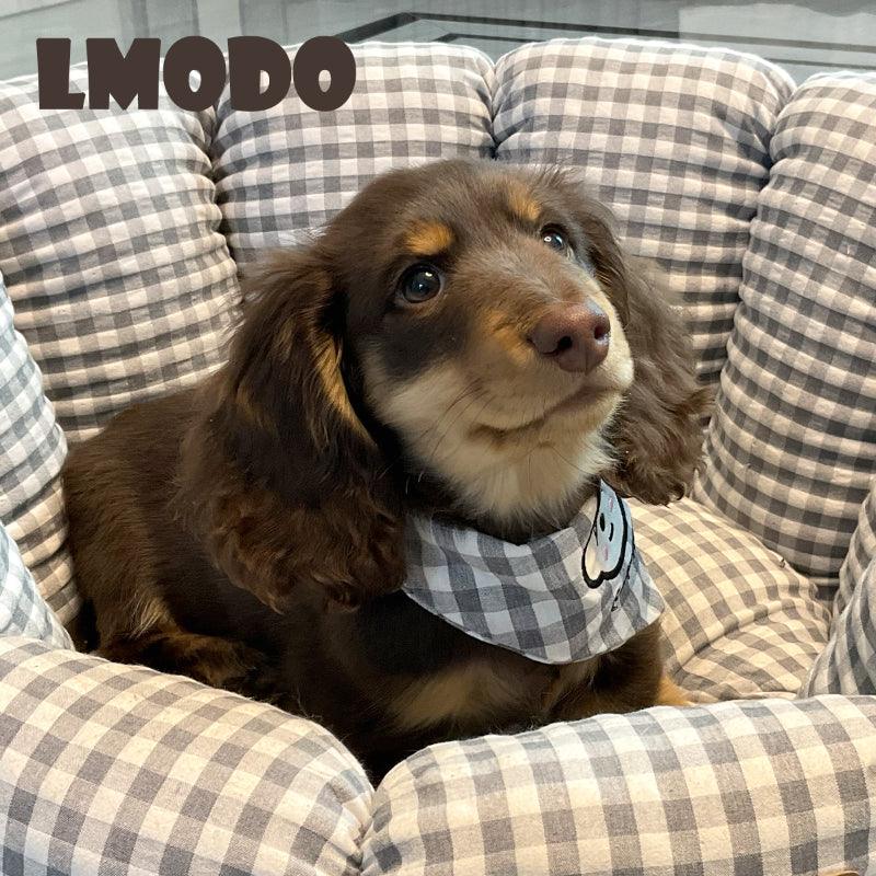 LMODO® Plaid Pet Bandana - KIKOPALS